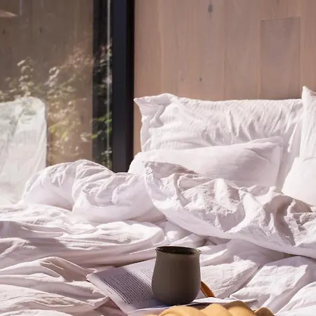 The Wonderinn Mirrored Glass - Wonderinn Delta Lodger Hektner